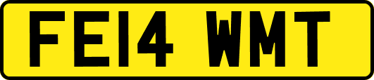 FE14WMT