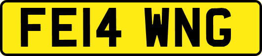 FE14WNG