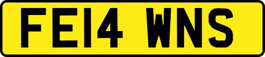 FE14WNS
