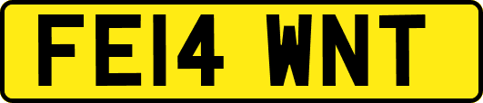 FE14WNT