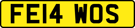 FE14WOS