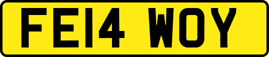 FE14WOY