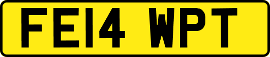 FE14WPT