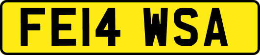 FE14WSA