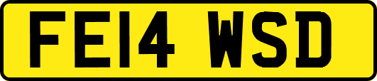 FE14WSD