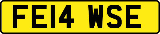 FE14WSE