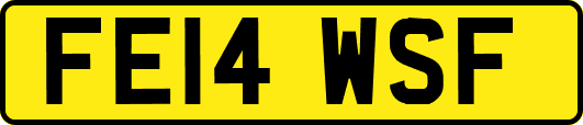 FE14WSF