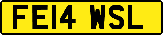 FE14WSL