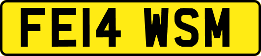 FE14WSM