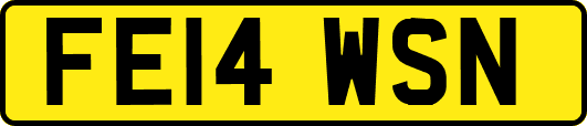 FE14WSN