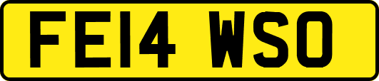 FE14WSO