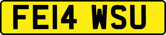 FE14WSU