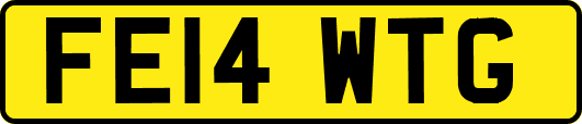 FE14WTG