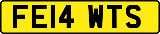 FE14WTS