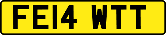 FE14WTT