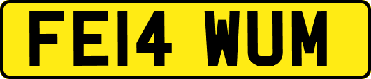FE14WUM