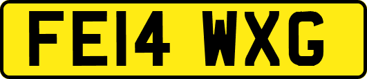 FE14WXG