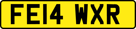 FE14WXR