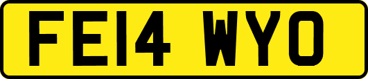 FE14WYO
