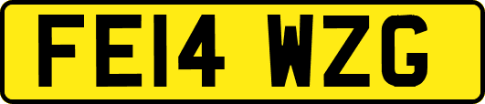FE14WZG