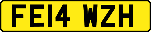 FE14WZH