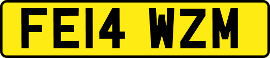 FE14WZM
