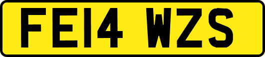 FE14WZS