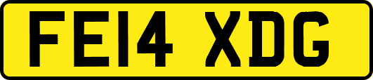 FE14XDG