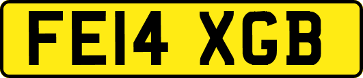 FE14XGB