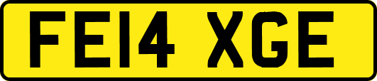 FE14XGE