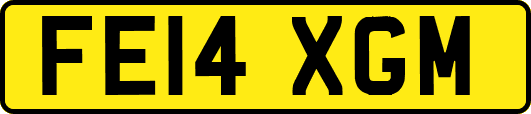 FE14XGM