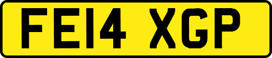 FE14XGP