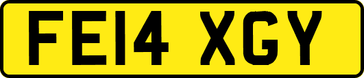 FE14XGY