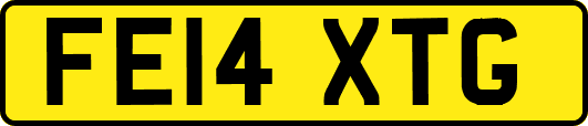 FE14XTG