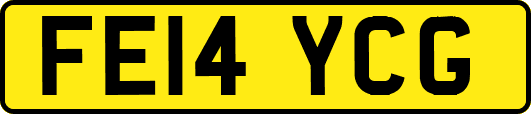 FE14YCG
