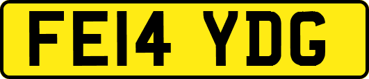 FE14YDG