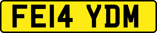 FE14YDM