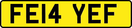 FE14YEF