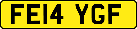 FE14YGF