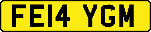 FE14YGM