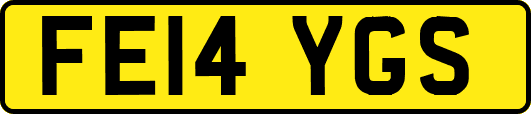 FE14YGS