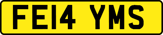 FE14YMS