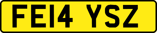 FE14YSZ