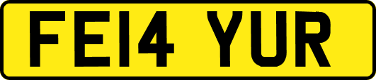 FE14YUR