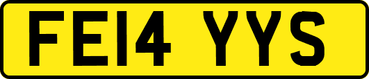 FE14YYS