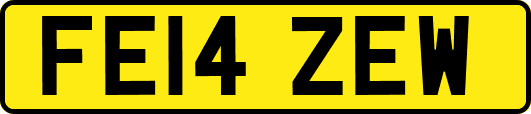 FE14ZEW