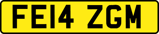 FE14ZGM