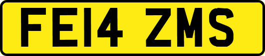 FE14ZMS