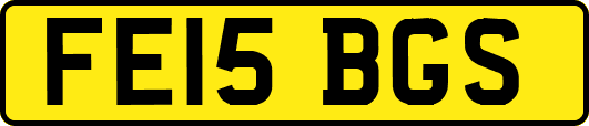 FE15BGS