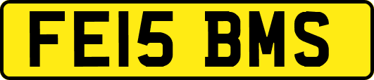 FE15BMS